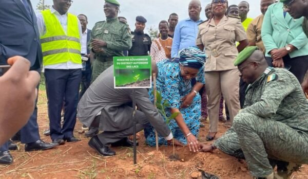 Planting sur le site d'orpaillage clandestin02